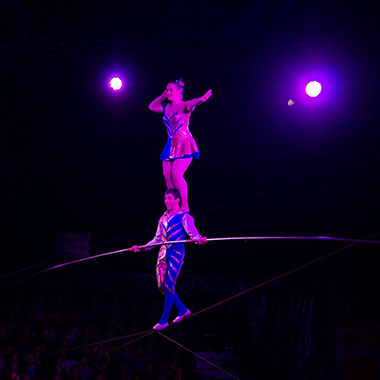 Groot Kerstcircus Den Haag